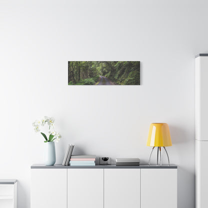 Glanageenty Forest Trail Matte Canvas, Stretched, 1.25"