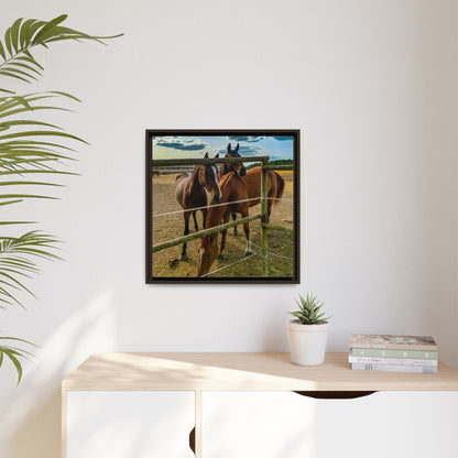 Horses Matte Canvas, Framed (Multi-color)
