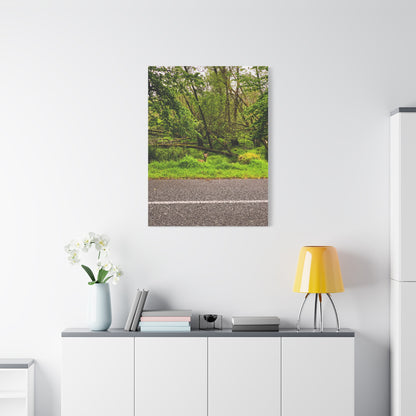 Deer in Ditch Matte Canvas, Stretched, 1.25"