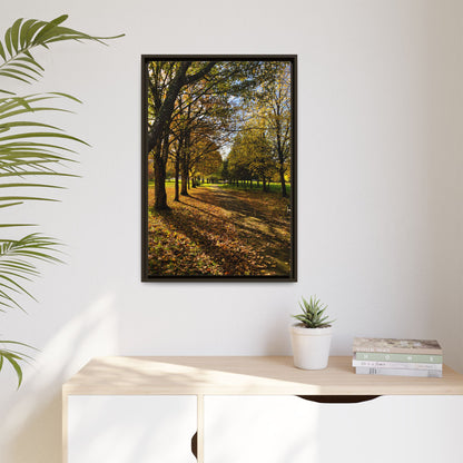 Listowel town Park Autumn Matte Canvas, Framed (Multi-color)