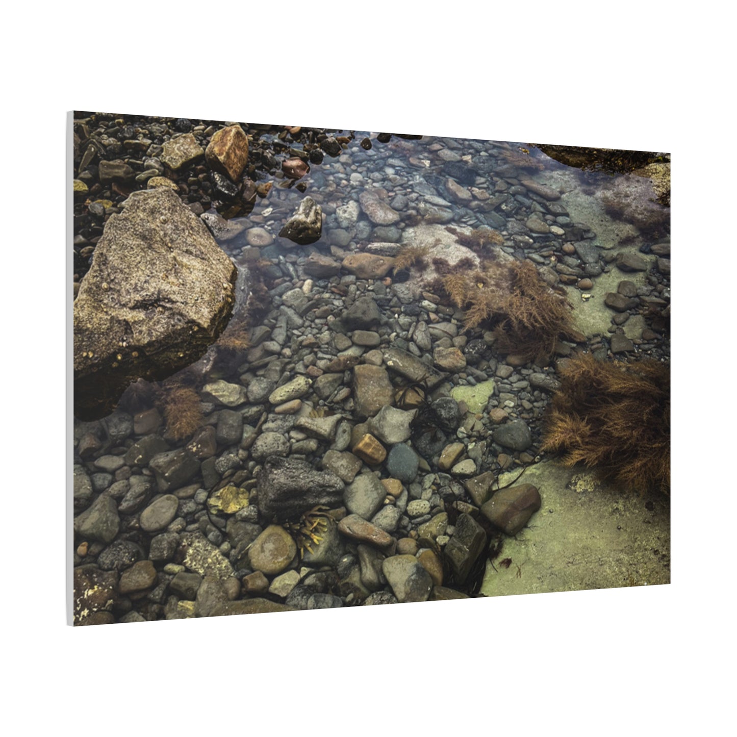 Rocks Matte Canvas, Stretched, 1.25"