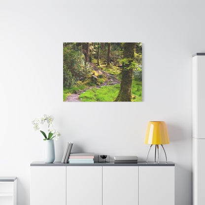 Torc Trail Matte Canvas, Stretched, 1.25"