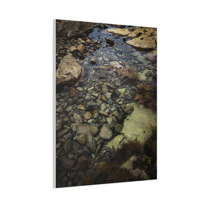 Rocks Matte Canvas, Stretched, 1.25"