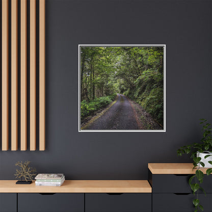 Glanageenty Forest Trail Matte Canvas, Framed (Multi-color)