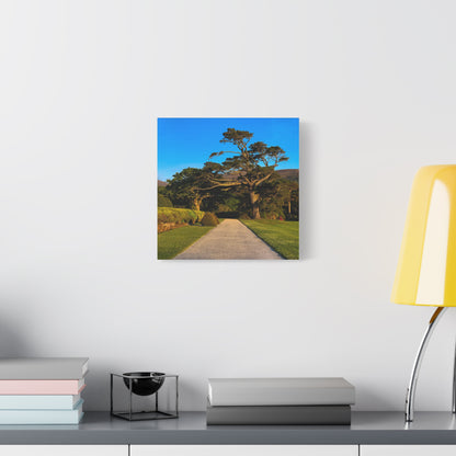 Muckross House Garden Matte Canvas, Stretched, 1.25"