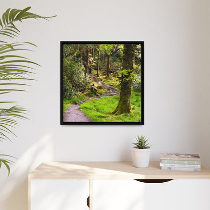 Torc Trail Matte Canvas, Framed (Multi-color)