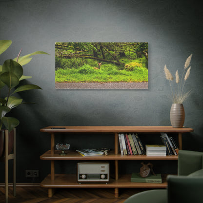 Deer in Ditch Matte Canvas, Stretched, 1.25"