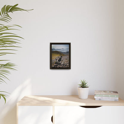 Wall Matte Canvas, Framed (Multi-color)