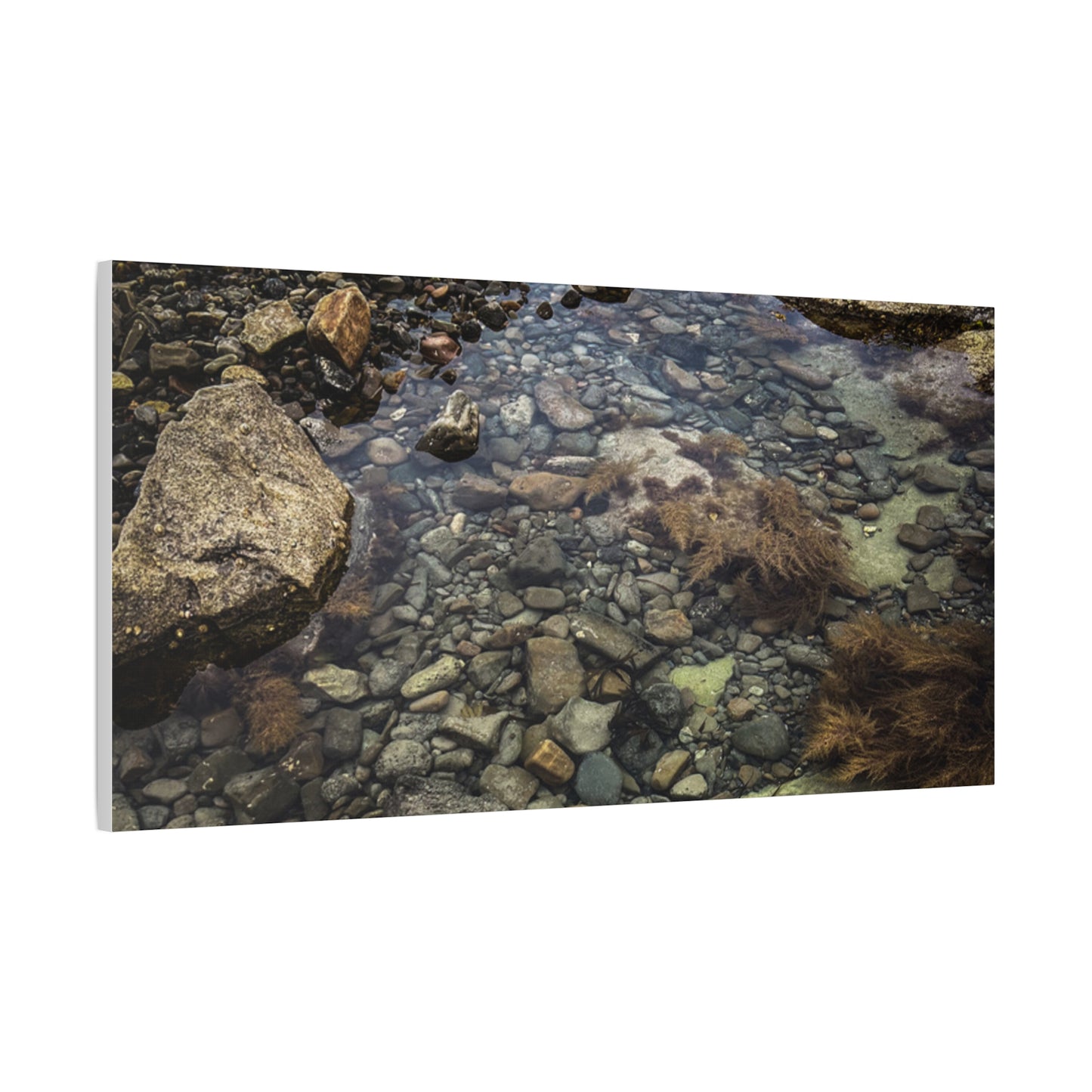 Rocks Matte Canvas, Stretched, 1.25"