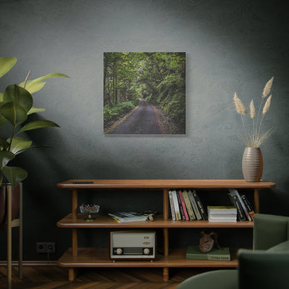 Glanageenty Forest Trail Matte Canvas, Stretched, 1.25"
