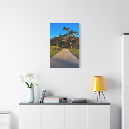 Muckross House Garden Matte Canvas, Stretched, 1.25"
