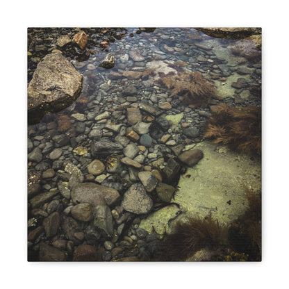 Rocks Matte Canvas, Stretched, 1.25"