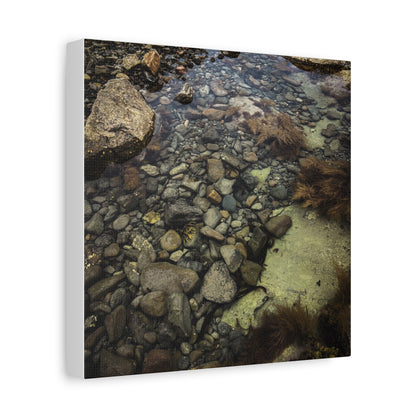 Rocks Matte Canvas, Stretched, 1.25"