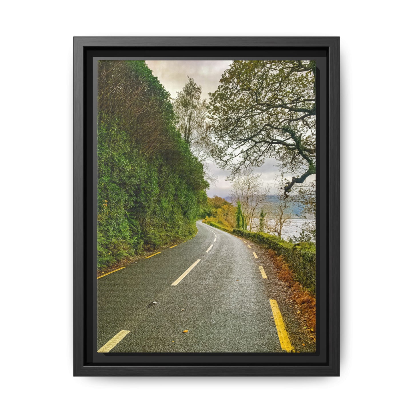 Killarney National Park Matte Canvas, Framed (Multi-color)