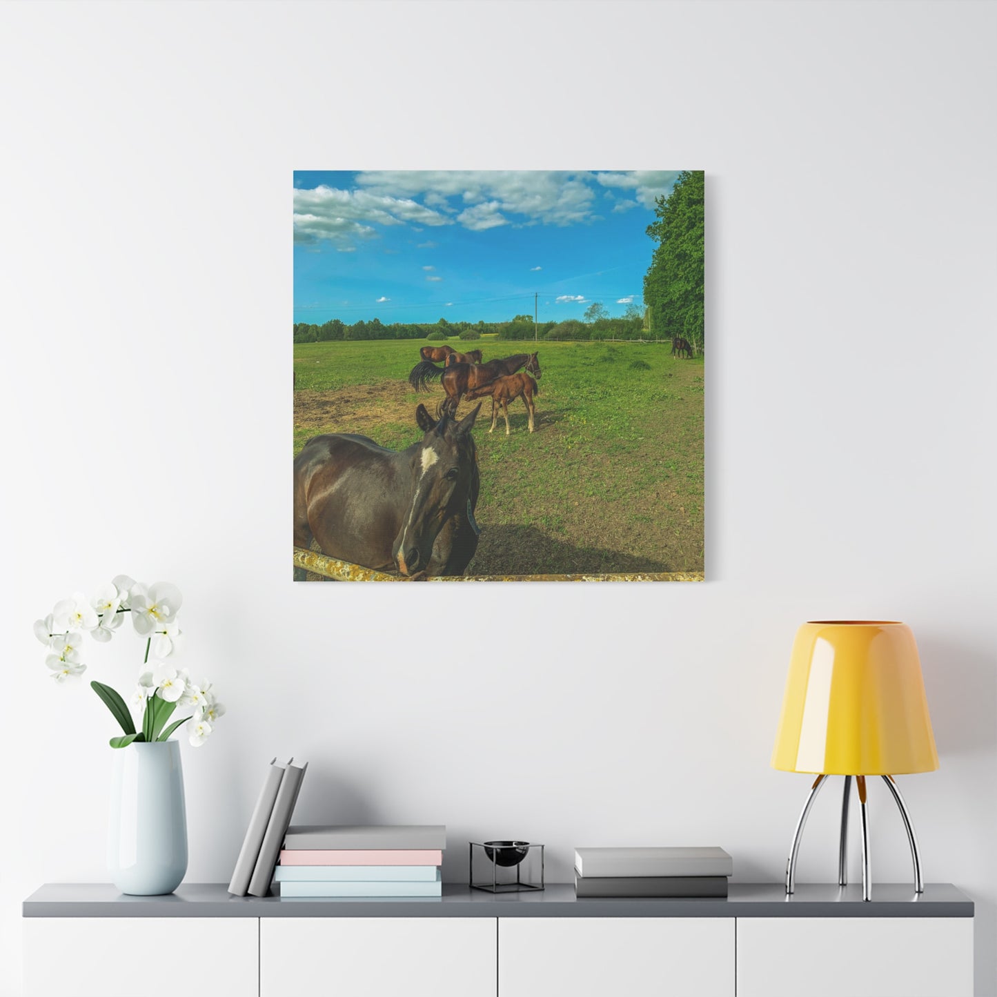 Horse Matte Canvas, Stretched, 1.25"