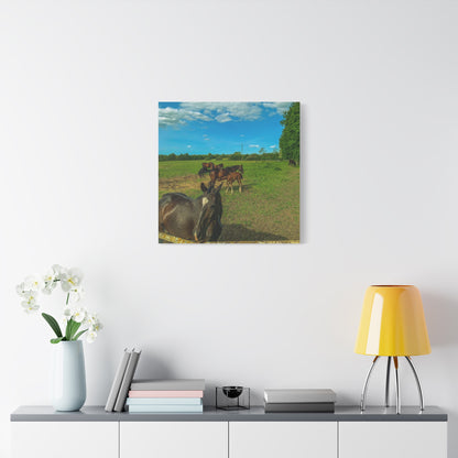 Horse Matte Canvas, Stretched, 1.25"