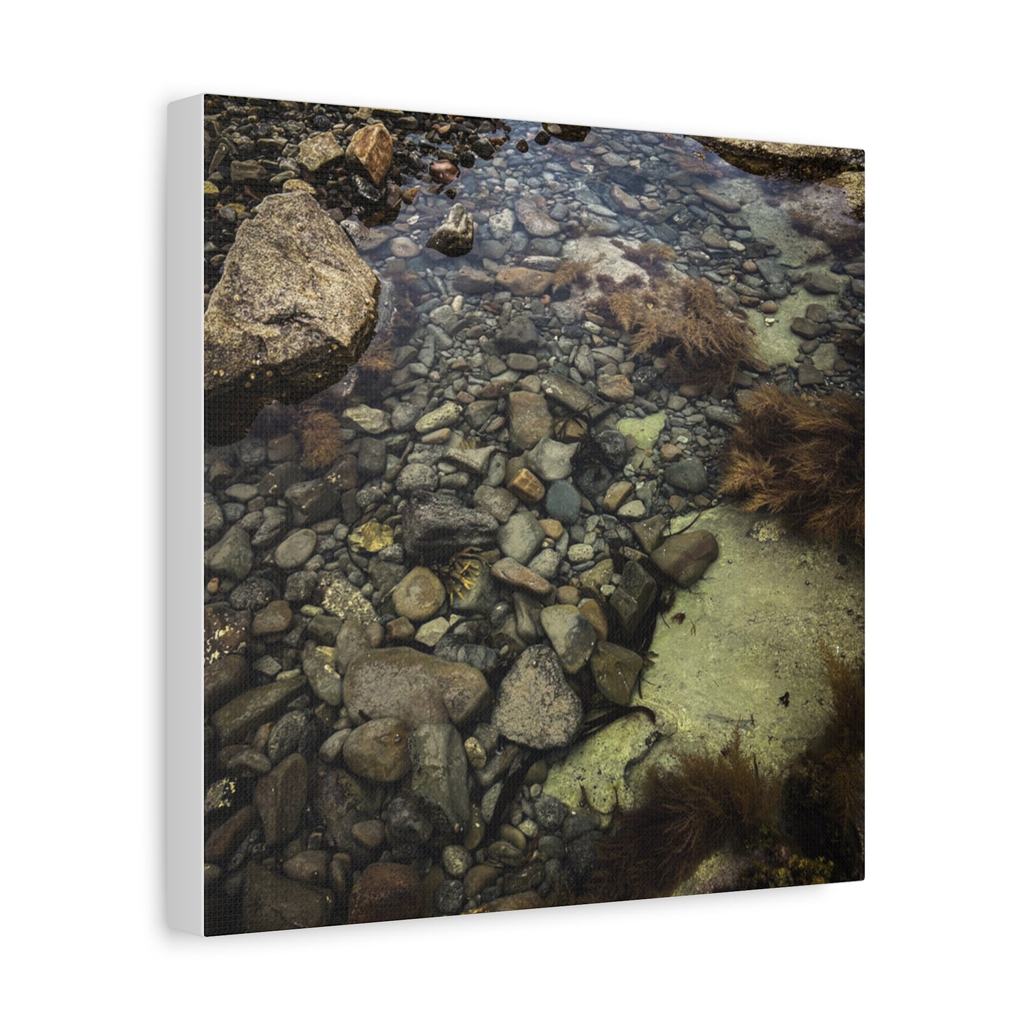 Rocks Matte Canvas, Stretched, 1.25"