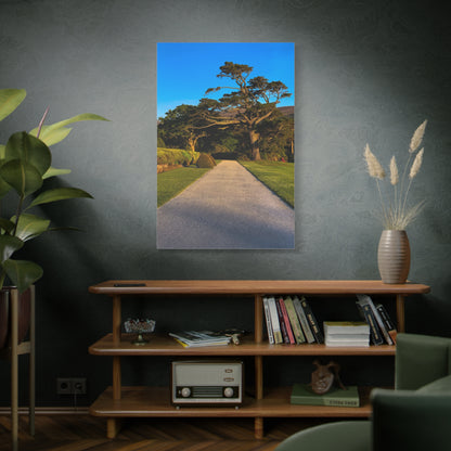Muckross House Garden Matte Canvas, Stretched, 1.25"