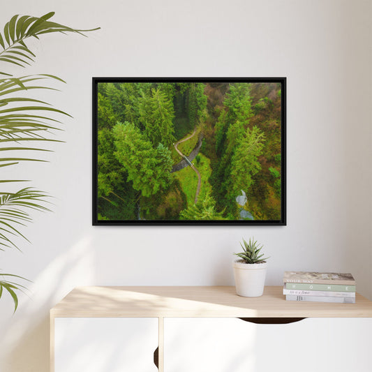 Glanageenty Forest Matte Canvas, Framed (Multi-color)