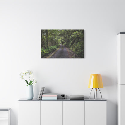 Glanageenty Forest Trail Matte Canvas, Stretched, 1.25"