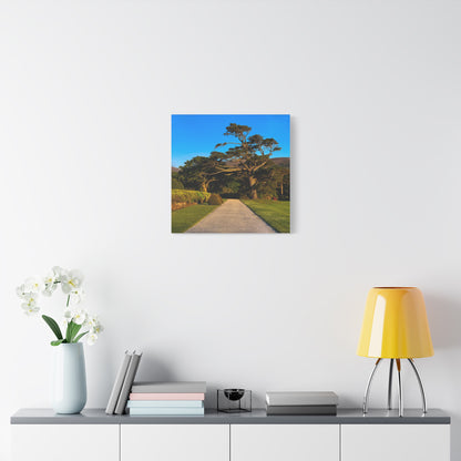 Muckross House Garden Matte Canvas, Stretched, 1.25"