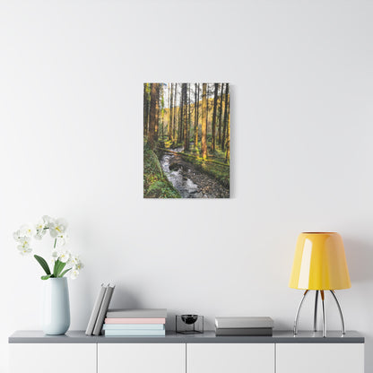 Glanageenty Forest Trail 2 Matte Canvas, Stretched, 1.25"