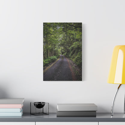 Glanageenty Forest Trail Matte Canvas, Stretched, 1.25"