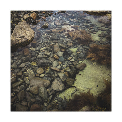 Rocks Matte Canvas, Stretched, 1.25"