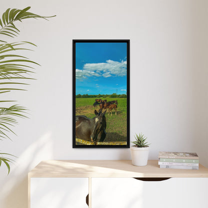 horses 2 Matte Canvas, Framed (Multi-color)