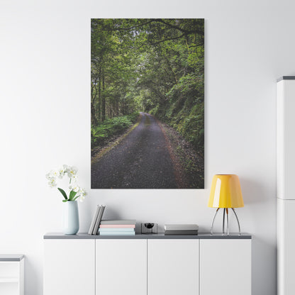 Glanageenty Forest Trail Matte Canvas, Stretched, 1.25"