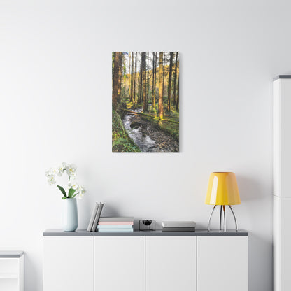 Glanageenty Forest Trail 2 Matte Canvas, Stretched, 1.25"