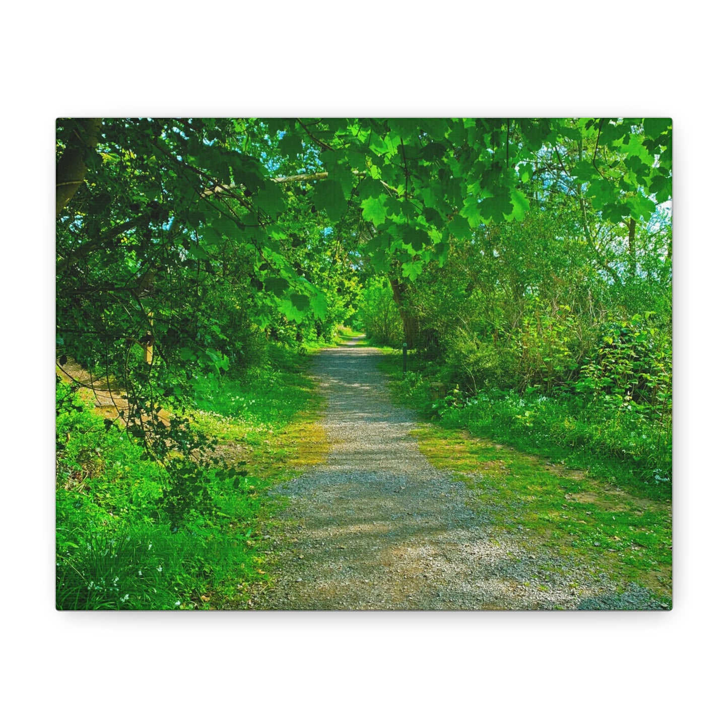 Listowel River Walk Matte Canvas, Stretched, 1.25"
