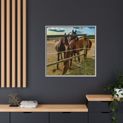 Horses Matte Canvas, Framed (Multi-color)