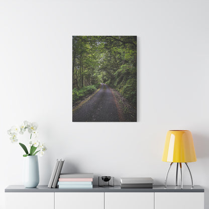 Glanageenty Forest Trail Matte Canvas, Stretched, 1.25"