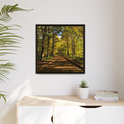 Listowel Town Park Autumn Matte Canvas, Framed (Multi-color)
