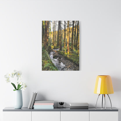 Glanageenty Forest Trail 2 Matte Canvas, Stretched, 1.25"