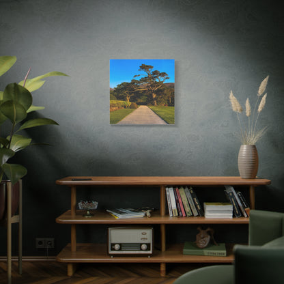 Muckross House Garden Matte Canvas, Stretched, 1.25"