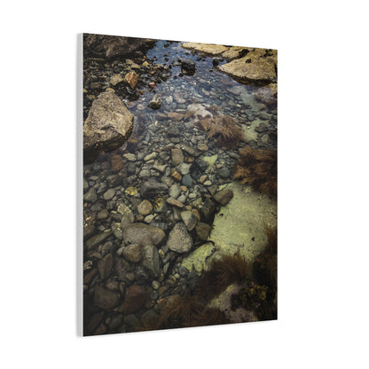 Rocks Matte Canvas, Stretched, 1.25"