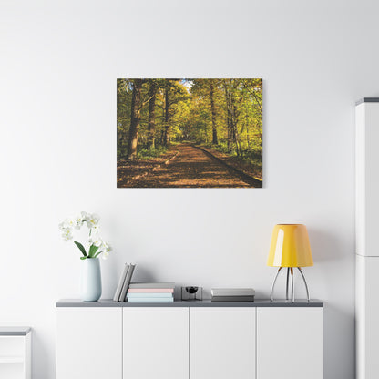 Listowel Town Park Autumn Matte Canvas, Stretched, 1.25"