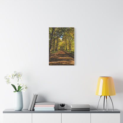 Listowel Town Park Autumn Matte Canvas, Stretched, 1.25"