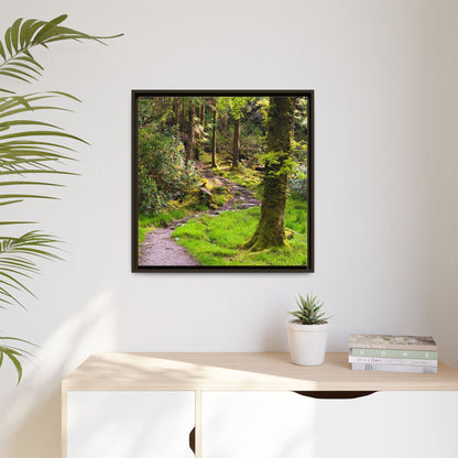 Torc Trail Matte Canvas, Framed (Multi-color)