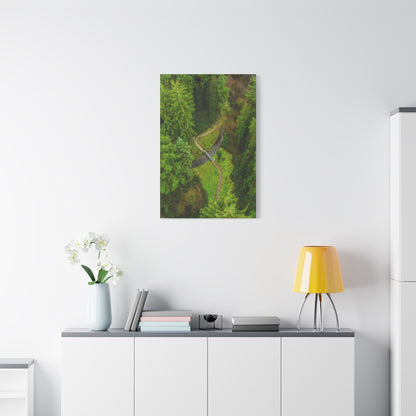 Glanageenty Forest Matte Canvas, Stretched, 1.25"
