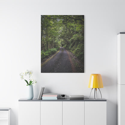 Glanageenty Forest Trail Matte Canvas, Stretched, 1.25"