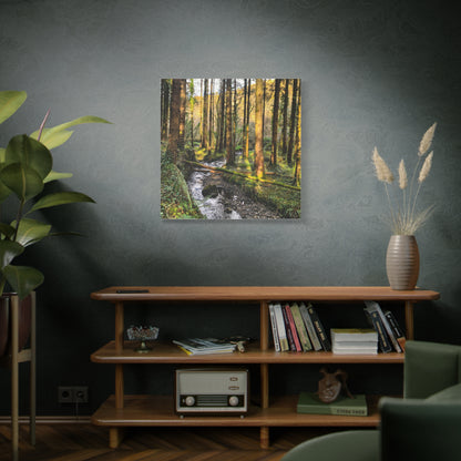 Glanageenty Forest Trail 2 Matte Canvas, Stretched, 1.25"