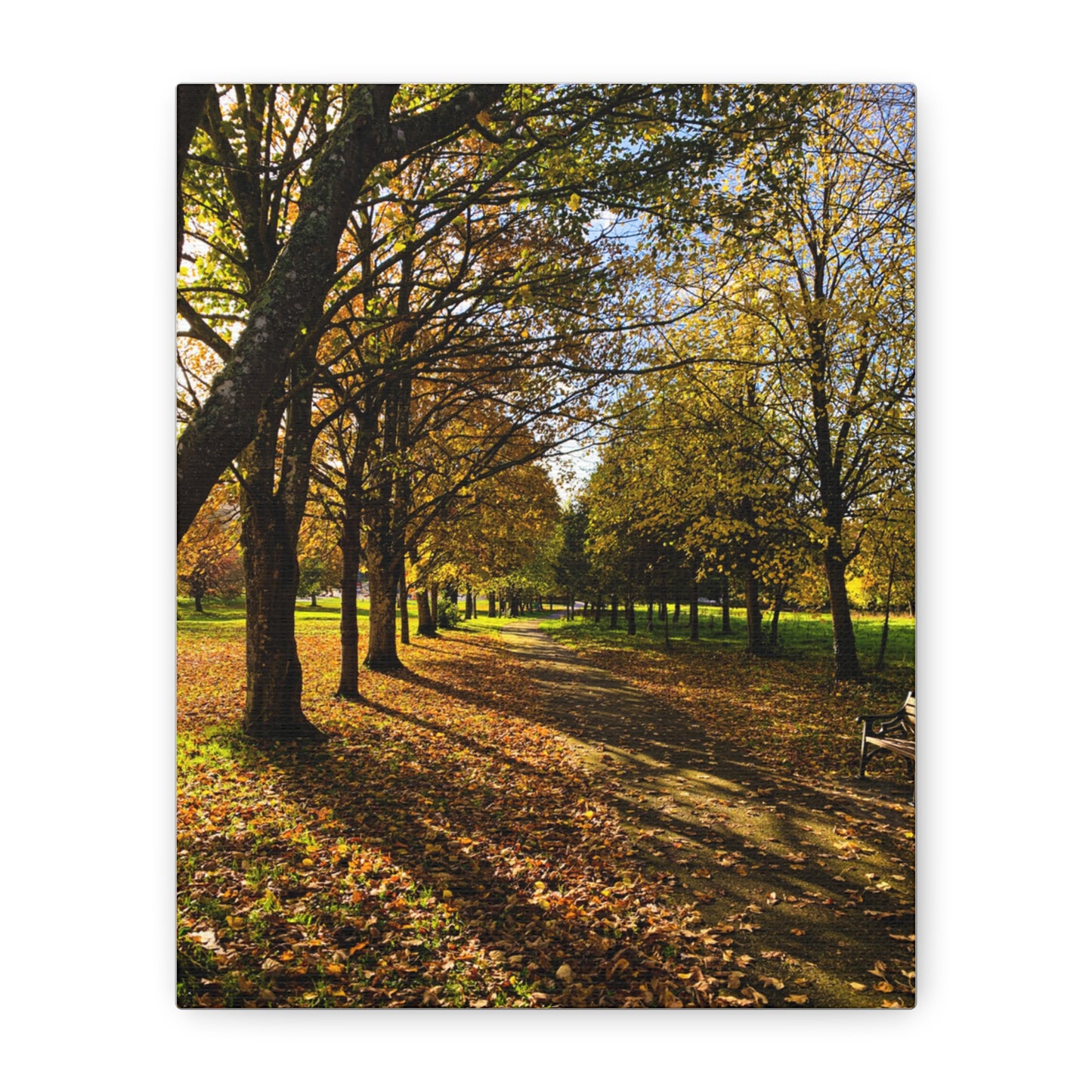 Listowel Town Park Autumn Matte Canvas, Stretched, 1.25"