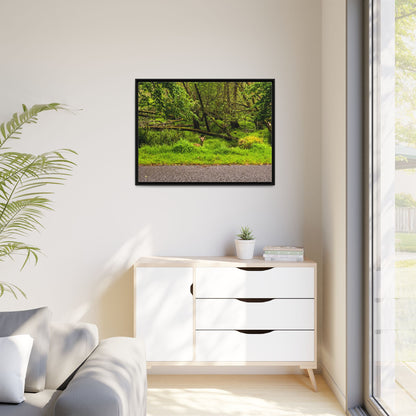 Deer in Ditch Matte Canvas, Framed (Multi-color)