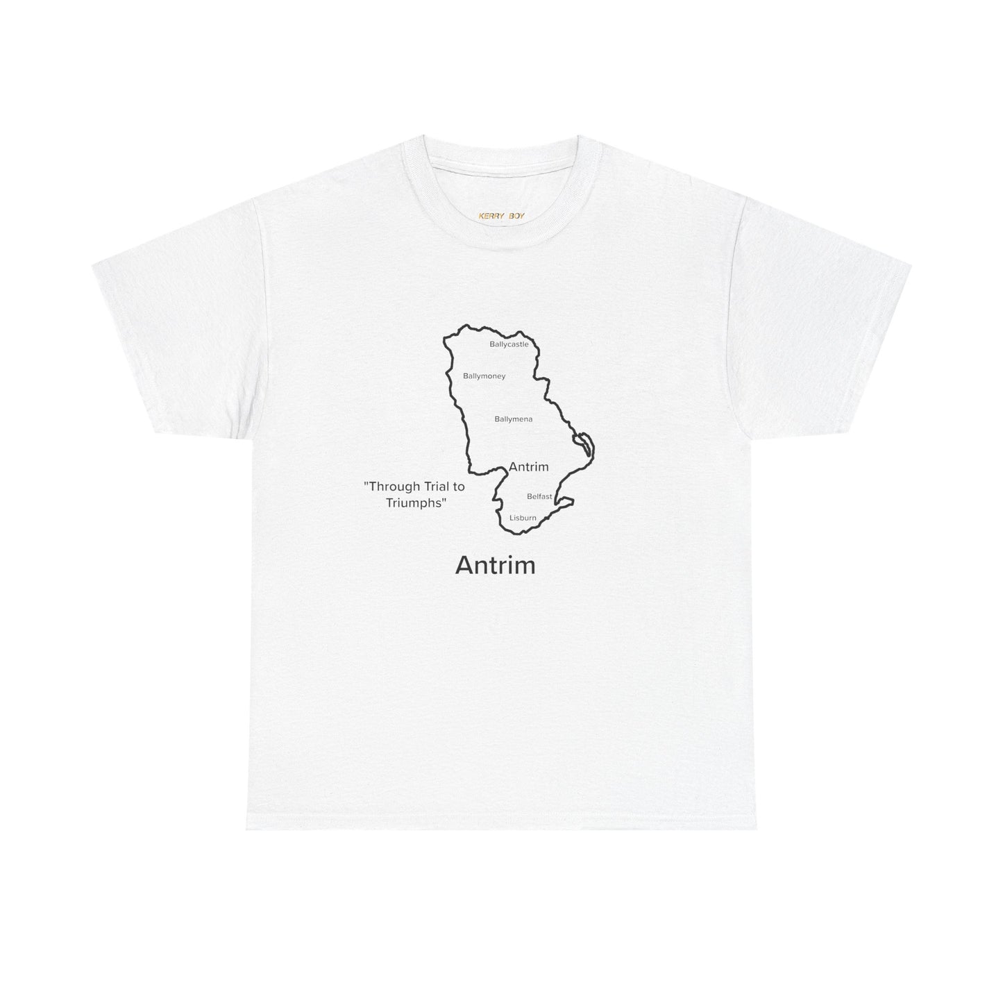 Antrim Unisex Heavy Cotton Tee White Edition