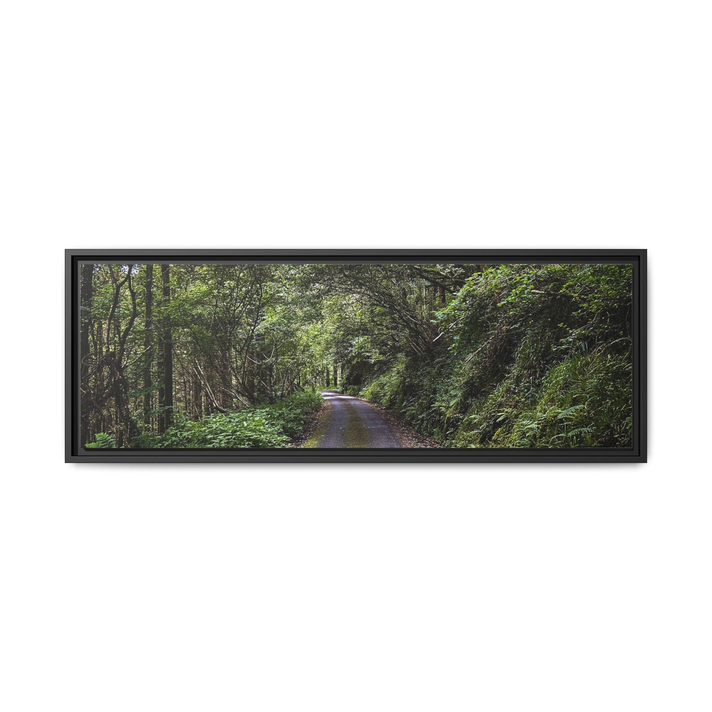 Glanageenty Forest Trail Matte Canvas, Framed (Multi-color)