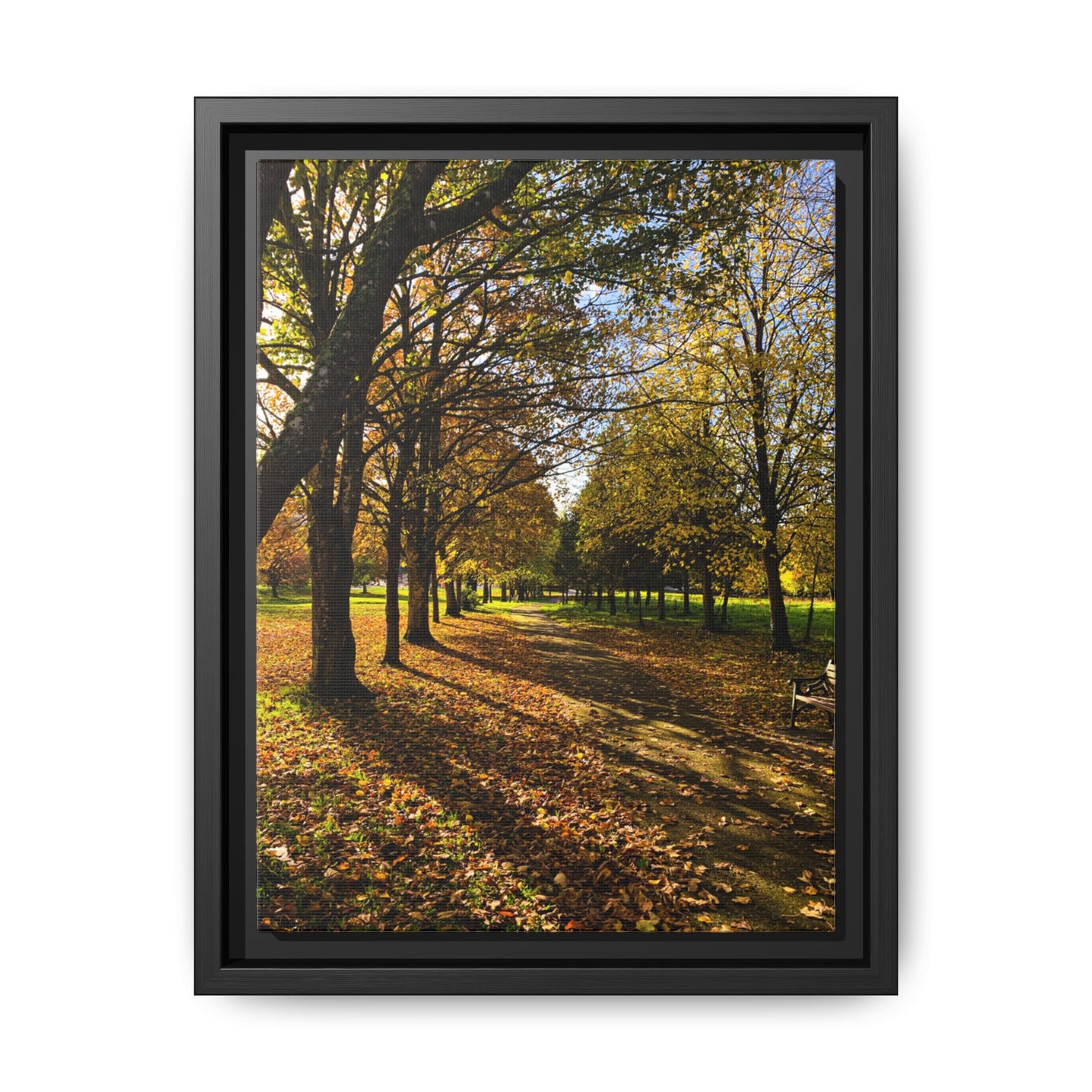 Listowel town Park Autumn Matte Canvas, Framed (Multi-color)