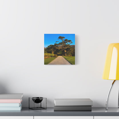 Muckross House Garden Matte Canvas, Stretched, 1.25"